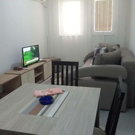 Apartman Jevtic 1 Gornja Toplica المظهر الخارجي الصورة